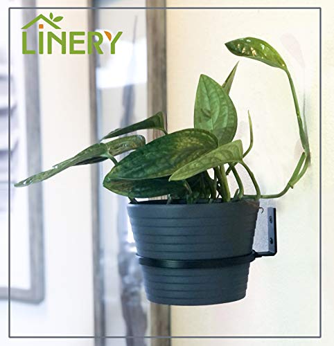 Linery 6 Inches 4-Pack Matte Black Hanging Plant Holder Wall Mounted Flower Plant Holder Support Ring Iron Anti-Rust Fit For Outdoor/Indoor Home Decoration #TOP3