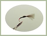Federball Trout Fliegen, 6 Pack Tiger Federbälle, Auswahl von Größen, Fly Angeln
