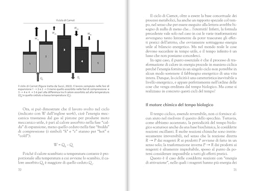 I Tre Volti Del Tempo. Fisico, Biologico, Psicologico - 6