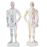 Excelentes herramientas educativas, adecuadas para ser un dispositivo de enseñanza escolar, pantallas de aprendizaje y colecciones.