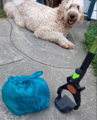 Bio-Blu Dootie Bags®, Premium Medium-Large Certified Compostable, E-Z Tie Handle Poop Bags, Strong, Leak Proof, 100 Count. Fits Gogo Stik St Catch-N-Go And Xp Pooper Scoopers #TOP4