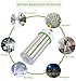 TSEXES 1000W Equivalent LED Corn Bulb, 300W E39 Mogul Base,42,000 Lumen Replacement Metal Halide/HID/HPS,5000K Daylight for Garage Warehouse Parking Light
