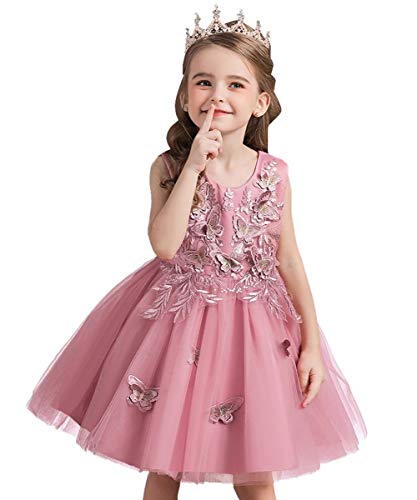 Flower Girls Embroidery Tulle Dress Butterflies Princess Wedding Birthday Party Communion Pageant Dance Ball Gown4