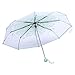 Taschenschirm, 1PC Handbetriebener Transparenter Leichter Regenschirm Modischer Prinzessin Regenschirm Kirschblüte Vier Farben(Grün)