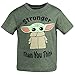 Star Wars The Mandalorian The Child Infant Baby Boys Graphic T-Shirt French Terry Shorts Green/Grey 12 Months