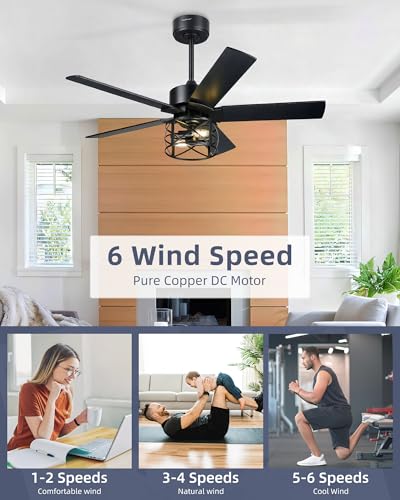Image of YOUKAIN 42-Inch Farmhouse Ceiling Fan with Lights and Remote, Matte Black