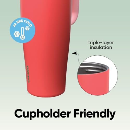 Image of Owala FreeSip Tumbler Insulated Stainless Steel Water Bottle with Built-in Straw and Side Handle, For Travel, Work, School, and Sports, 40oz, BPA Free, Leak Proof, Strawberry Fields