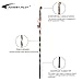 FOREST PILOT Mimetic Root Head Wooden Walking Stick (Dark Brown Color, 55 Inches, 1 Piece)