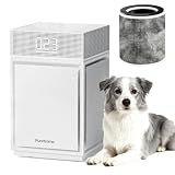 Pureborne HEPA Purifier