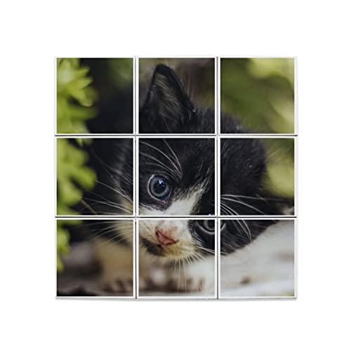 Carreaux Céramique Chaton Décoration Murale Intérieure Tableau Mosaïque Animaux Mignons