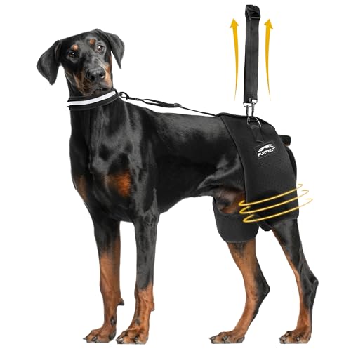 Dog Hip Brace for Hip dysplasia,Hip Pain, Dog Rear Leg Wrap Harne...