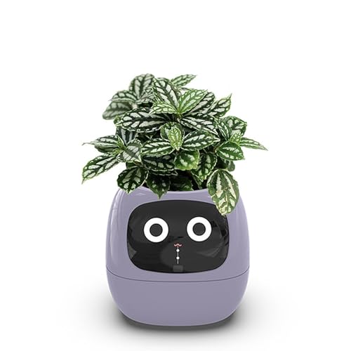 Smart Plant Pot, Lightweight & Portable Smart Flowerpots, Smart Pet Planter Robot Guidance On Plant Care With Emojis, LED Screen Display Plant Health Planter Monitor For Living Room, Bedside, Desk(Pur