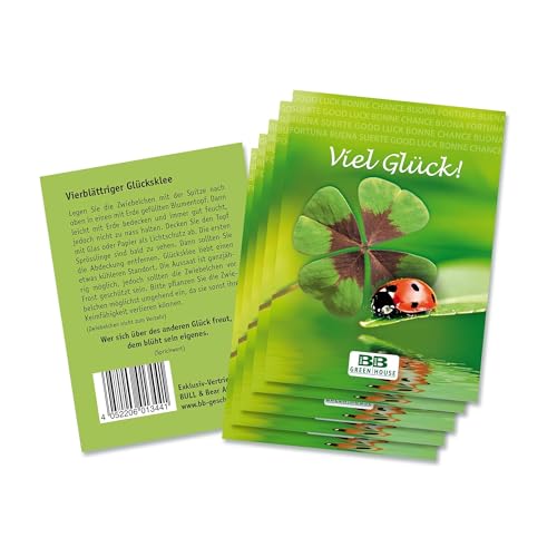 Bull & Bear Glücksklee Samen, 5 Samentütchen mit Zwiebeln für vierblättrigen Klee, Kleesamen zum Einpflanzen, Garten Geschenk