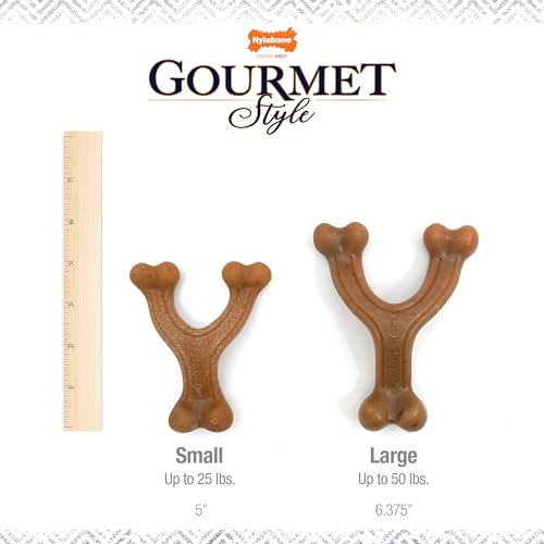 Image of Nylabone Strong Chew Gourmet Style Wishbone Dog Chew Toy, Bacon Flavor