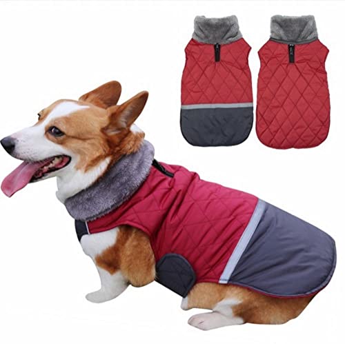 SYSPYF  ~fBAƃ[W̌̕HƓ~̃fS[fgo[R[M[ybg̕傫Ȗє̋ ʒphŒgȂ̃R[ǧ̕-XXL