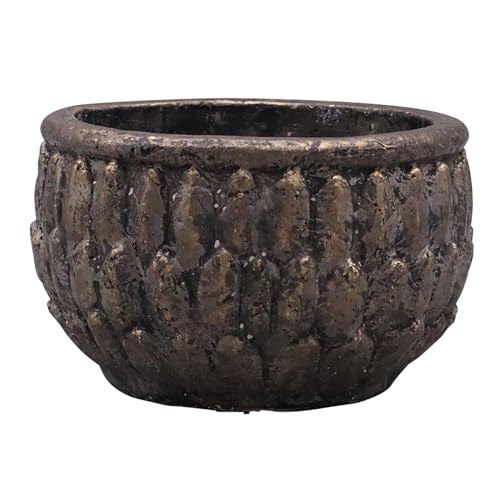 �f���L (dellki) �� �G�[�f�� ���[ �u���b�N�S�[���h S�T�C�Y WE14BK