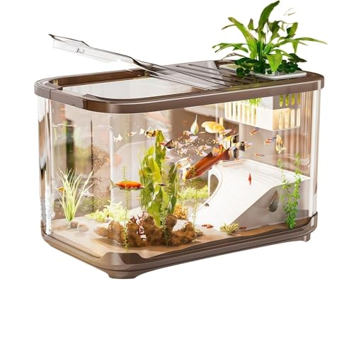 カバー付き 水槽セット 大型 35/40CM 金魚 水槽 おしゃれ 高い透明 プラスチック素材 360°観察 家庭用 メダカ飼育セット 大容量 金魚鉢 初心者向け 便利な給餌 給餌口付き 飼育用ベタ アクアリウム 小さな水族館 多面観賞 魚 カメ 爬虫類用