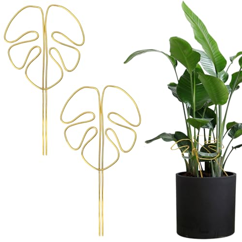 APOMOONS 2 supporti per pianta Monstera, decorativo per steli e piante esterne (28 x 15 cm)