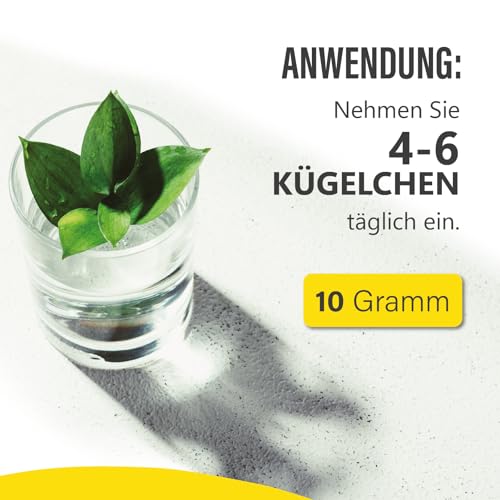 Saint Nutrition® Zappelphilipp Kügelchen – Natürliche Unterstützung für Kinder bei Unruhe und erhöhtem Bewegungsdrang – Unterstützung der Konzentration bei stressigen Situationen – 10g