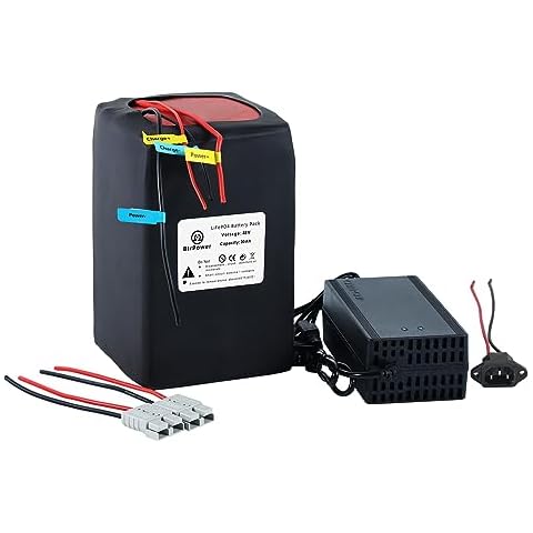 BtrPower 48V Ebike Battery 30AH LiFePO4 Battery Pack with 50A BMS and 5A Fast Charger Fit for 350W 750W 1000W 1500W 2000W 3000W Motor Cover
