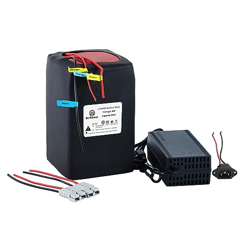 48V 52V 30AH LiFePO4 Battery with BMS