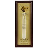 Lily's Home Fitzroy's Storm Glass | Weather Prediction Station | Weather Bottle Forecast Bottle Barometer