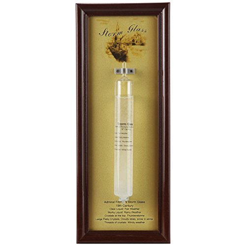 Lily's Home Fitzroy's Storm Glass | Weather Prediction Station | Weather Bottle Forecast Bottle Barometer