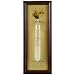 Lily's Home Fitzroy's Storm Glass | Weather Prediction Station | Weather Bottle Forecast Bottle Barometer