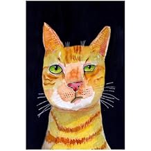 Trademark Fine Art Canvas Wall Art - Sharyn Bursic Ginger Cat Wall Art for Living Room, Bedroom, or Office Decor