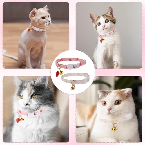 2 Stück Katzenhalsband mit Sicherheitsverschluss, Abreißbares Katzenhalsband Reflektierende Katzen Halsbänder verstellbares Cat Collar süßes Kätzchenhalsband ideal für Katzen