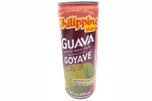 Guavennektar - Guava Juice - Philippine Brand 250ml Cover