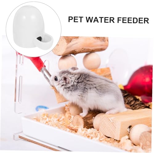 Dispensador de agua para el terrario de erizos que decora y refresca 4