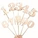 Logbuch-Verlag Lot de 10 chiffres en bois sur tige de 0 à 9 - Chiffres en bois pour gâteaux, pots de fleurs, décoration d'anniversaire, anniversaire d'enfant