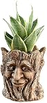 Funny Planter Tête Pot de plante avec trou de drainage Résine Succulent Plant Holder Crayon de bureau Organisateur Office Garden Cadeau (Smile Face)