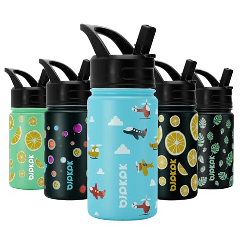 Image of BJPKPK 15oz Insulated Water Bottle with Straw Lid, 15oz Stainless Steel Water Bottles, Reusable Leak Proof BPA-Free Thermos with 2 Straws, 1 Straw Brush(Aircraft)
