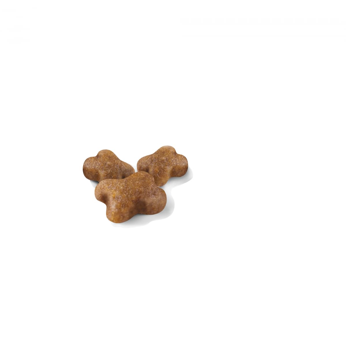 Royal Canin C-58436 Cat - 10KG