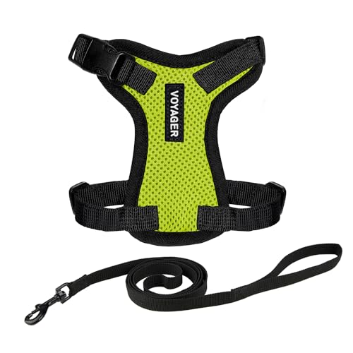 Image of Voyager Escape-Proof Step-in Lock Cat Harness & 5ft Neoprene-Handle Leash Set All-Weather Mesh with Reflective Stitching for Small to Large Cats by Best Pet Supplies, Lime Green /Black Trim, S
