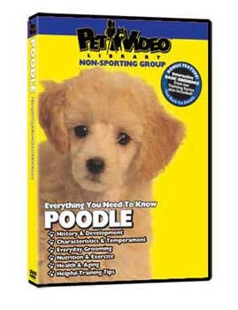 Pet Video Library Poodle DVD : encyclopédie vidéo et éducation du chien de race caniche