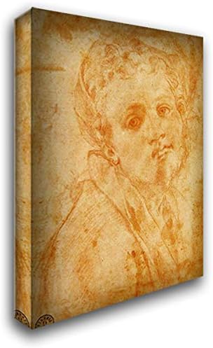 Self Portrait 18x24 Gallery Wrapped Stretched Canvas Art by Jacopo Pontormo