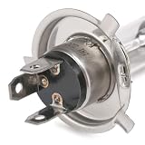 Magneti Marelli H4 12 Żarówka, Srebrny, H4