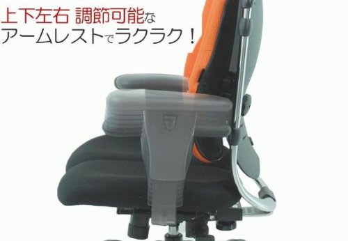 HARA CHAIR:ハラチェアー　ニーチェA Amazon.co.jp: Hara Chair ハラチェア ニーチェ 《標準モデル