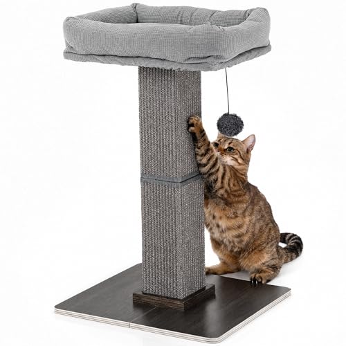 FUKUMARU Cat Scratching Post, Modern Style Tall Scratch Posts with Perch for…