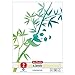 Produktbild Herlitz Arbeitsblock A4 GREENline 50 Blatt Lineatur 02 Motiv Panda