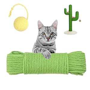 Multicolor Natural Hemp Rope, Cat Scratching Posts Replacement Rope,Repair and Replace Scratching Post cat tree, 1/4″ Rope Cat Scratch Post DIY Jute Twine,Come with a Play Ball.(164FT, Green)