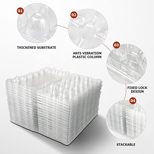 Boîte d'oeufs de caille transparente empilable DOERDO x50