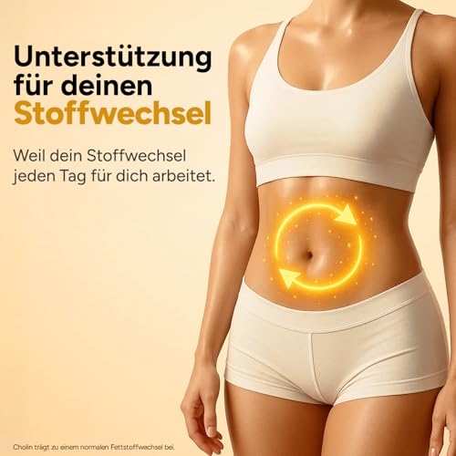 Leber Kur Mariendistel Kapseln hochdosiert - 80% Silymarin, Artischocke, Löwenzahn, Curcuma, Desmodium und Cholin für die Leber Testsieger - 8-Fach Komplex