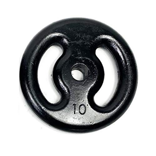 Anilha 10kg Pintada P/Barras E Halteres Academia Musculação