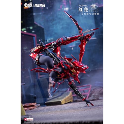 Amazon.co.jp: HiPlay : Animester