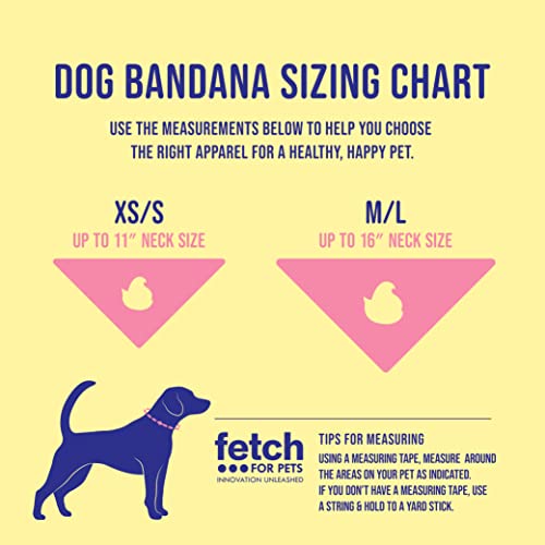 Peeps For Pets Chick Rainbow Print Dog Bandana, X-Small/Small | Small Dog Bandana Officially Licensed Peeps Pet Product | Cute, Soft, Machine Washable Dog Apparel & Accessories For All Dogs (Ff10308) #TOP6