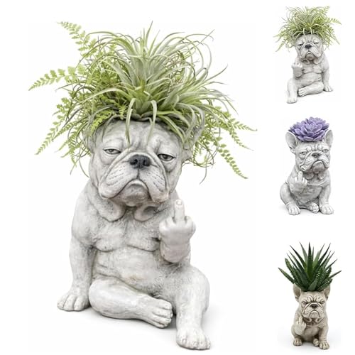 Récipient unique pour plantes bouledogue français résistant au gel pour balcons et cours tristes